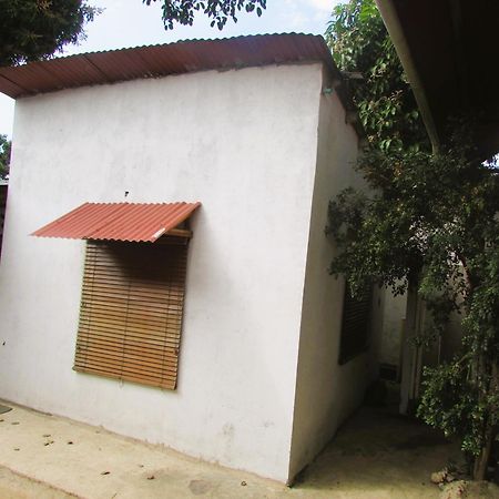 Jumanji Apartment Palomino Bagian luar foto