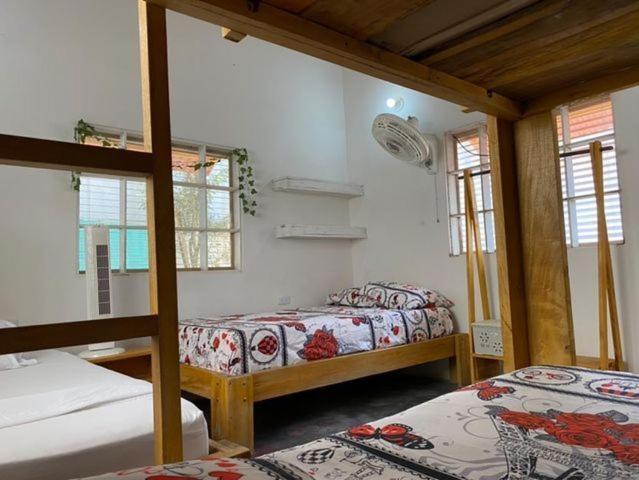 Jumanji Apartment Palomino Bagian luar foto