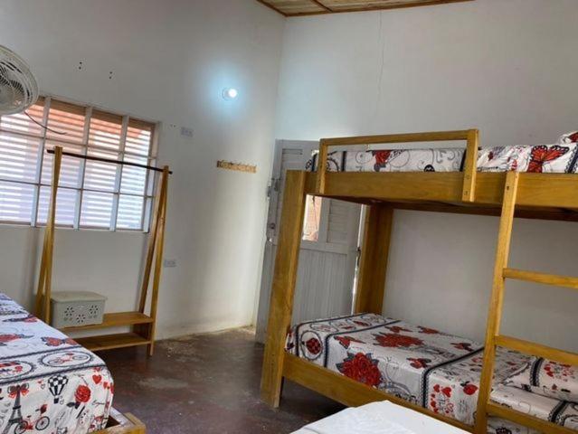 Jumanji Apartment Palomino Bagian luar foto