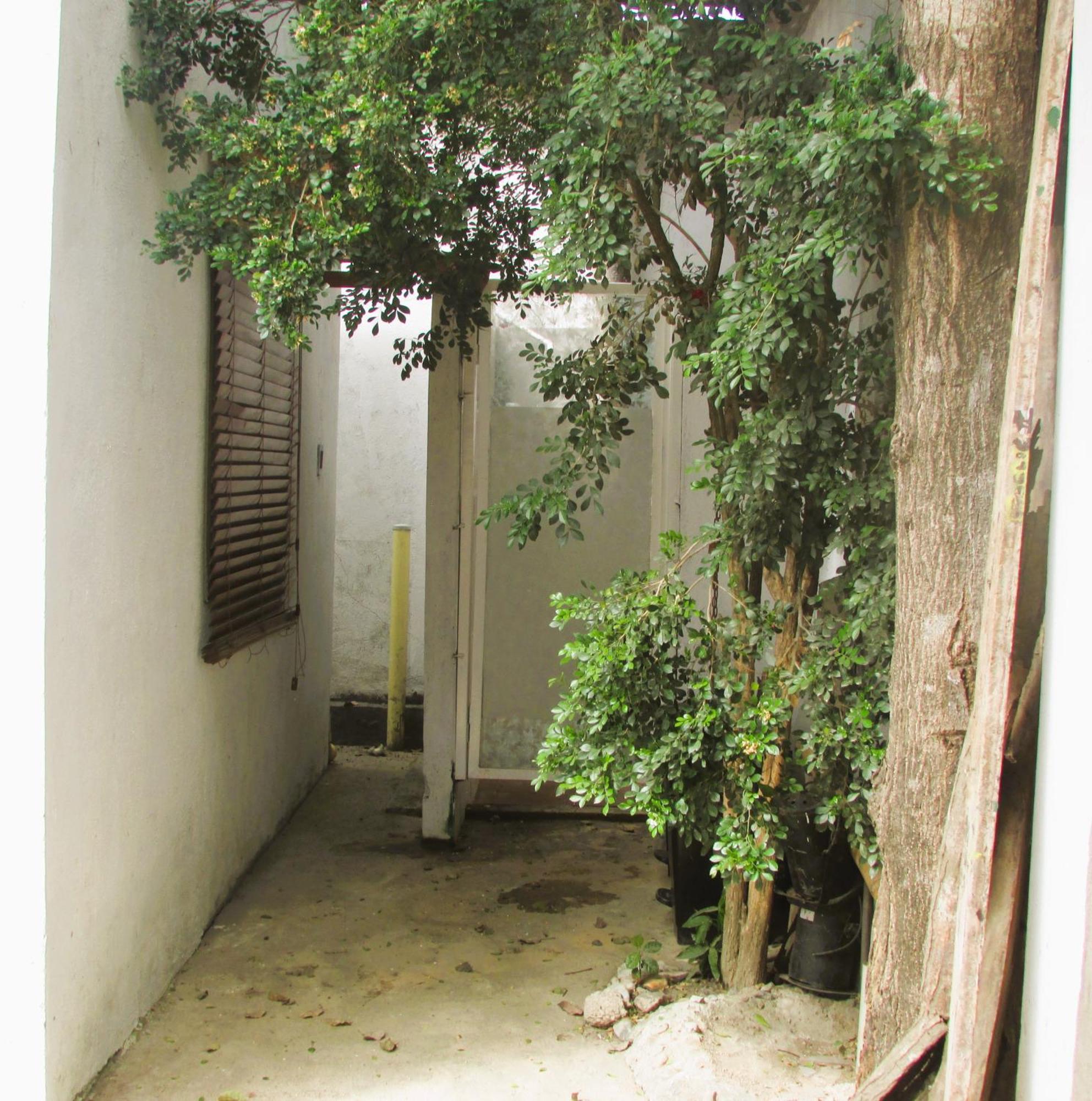 Jumanji Apartment Palomino Bagian luar foto